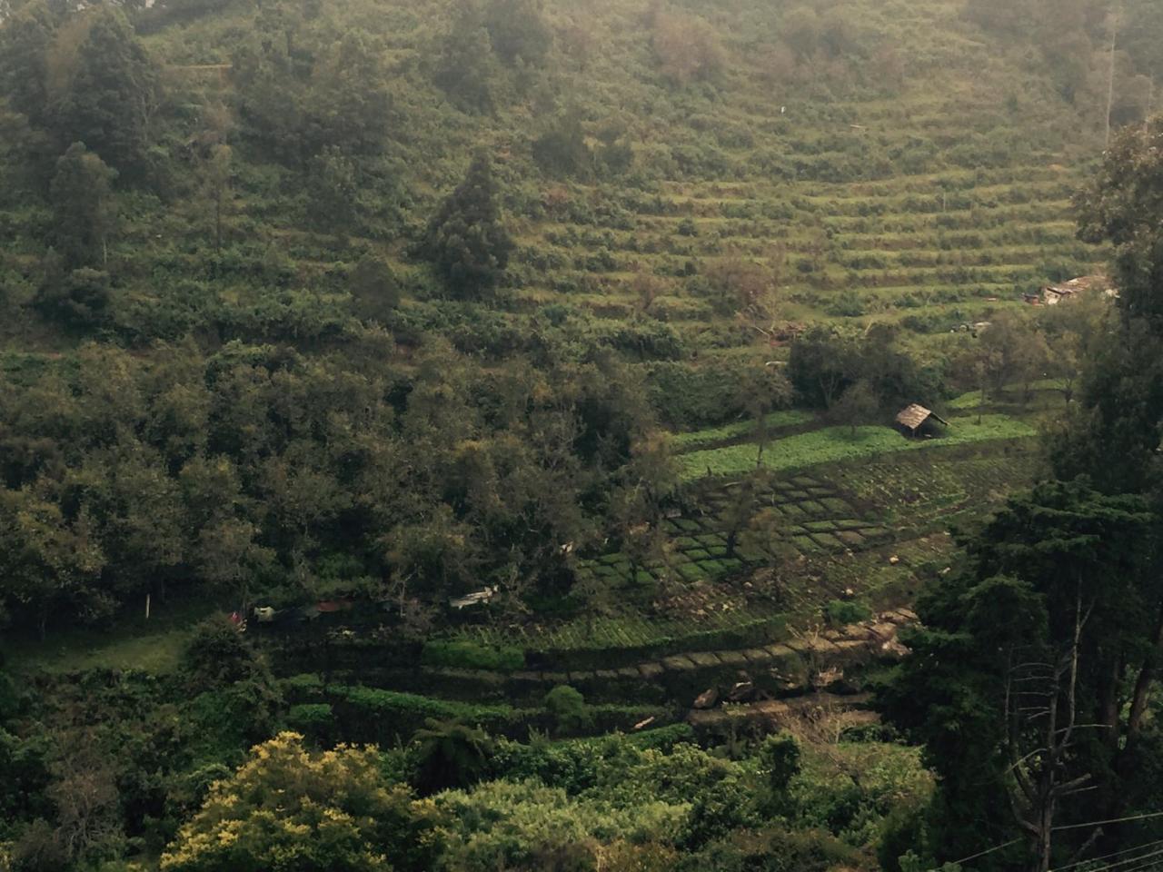 Zion Elite Residency Hotel Kodaikanal Zewnętrze zdjęcie